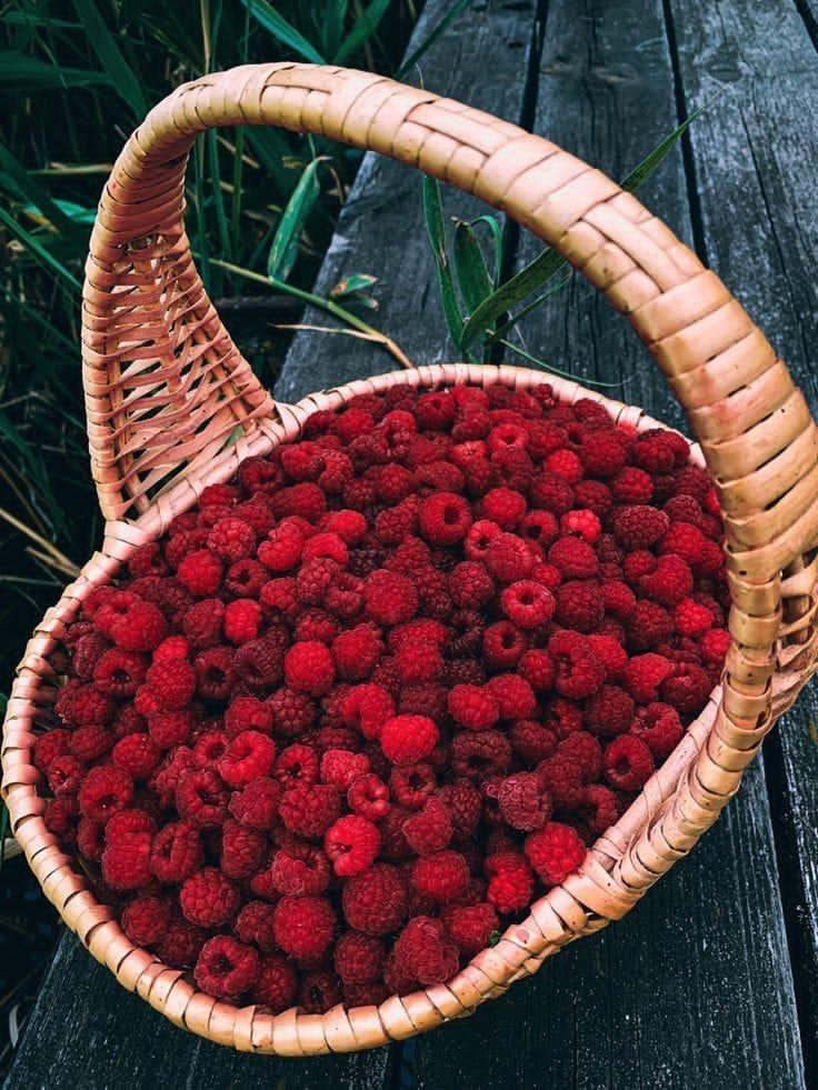 Nature's Mosaic: Vibrant Assortment of Berry Delights